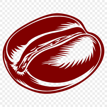 Illustrative representation of a single coffee bean with its unique characteristics.