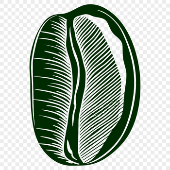 A detailed illustration of a coffee bean with a smooth surface, suitable for various design projects.