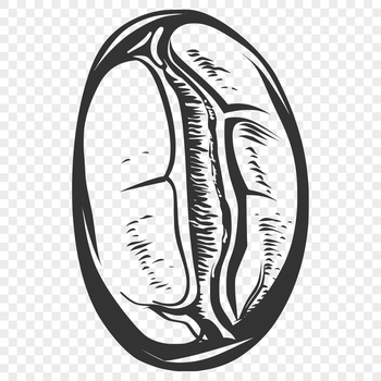 A detailed illustration of a single coffee bean, suitable for graphic design and cutting machine projects.