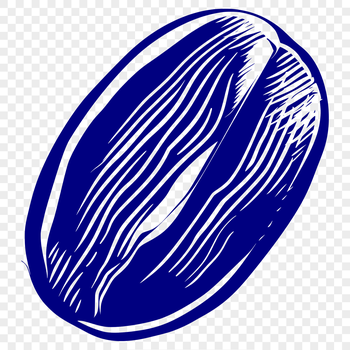 A high-quality illustration of a single coffee bean in a stylized format, suitable for graphic design and digital printing.