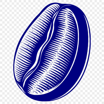 A single coffee bean illustration in a vector format.