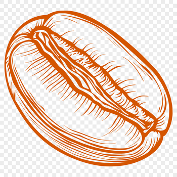 A simple, high-resolution vector illustration of a coffee bean, suitable for commercial or personal projects.