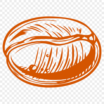 A single coffee bean with intricate details and texture.