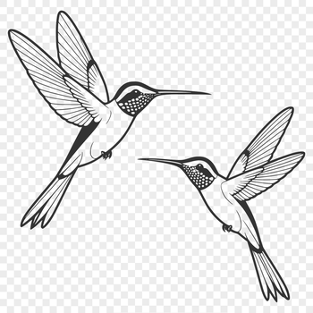 A colorful illustration of a hummingbird in flight, showcasing its distinctive beak and iridescent feathers.