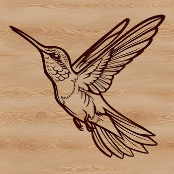 Illustration of a hummingbird bird in motion, showcasing its rapid wing movement.