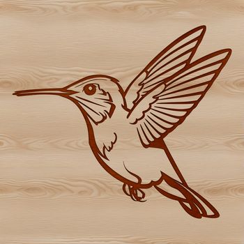 A small, colorful bird in flight, with iridescent feathers and a long beak, illustrated as a vector graphic.