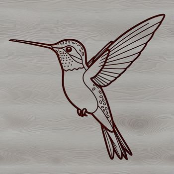 A detailed illustration of a hummingbird in flight, designed as an editable vector graphic.
