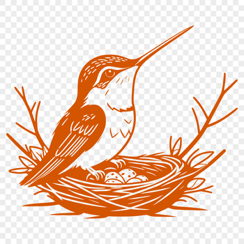 A realistic illustration of a hummingbird in flight, suitable for vector art and design projects.