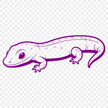 A colorful illustration of a salamander in various forms, including vector and raster formats such as PNG and PDF.
