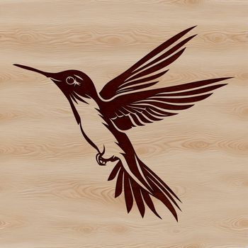Close-up vector design of a hummingbird's distinctive beak and plumage, perfect for use in digital art projects.