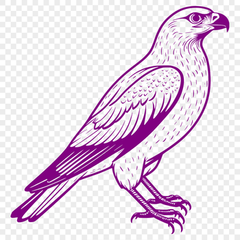 A vector illustration of a soaring falcon in mid-flight.