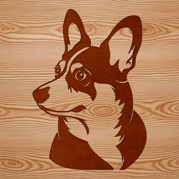 A stylized illustration of a Welsh Corgi's head, created as vector art.
