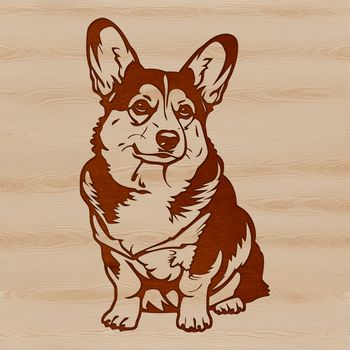A small breed dog with short legs sitting on the ground.