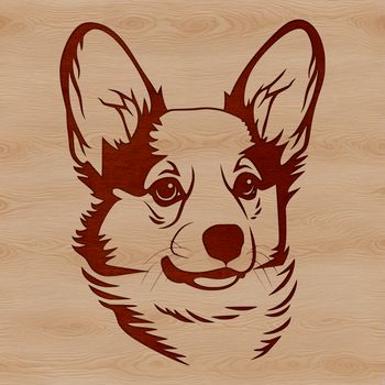 A high-quality vector image of a Corgi's head.