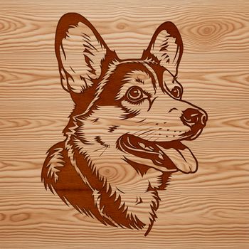 A illustration of a Welsh Corgi's head, a popular breed of dog.