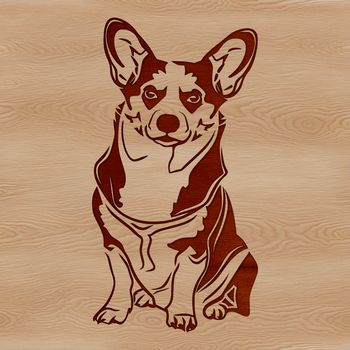 A vector illustration of a sitting Welsh Corgi dog breed.