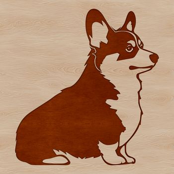 A sitting Corgi dog breed animal in vector format.