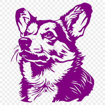 A detailed illustration of a Corgi's head with its distinctive features.