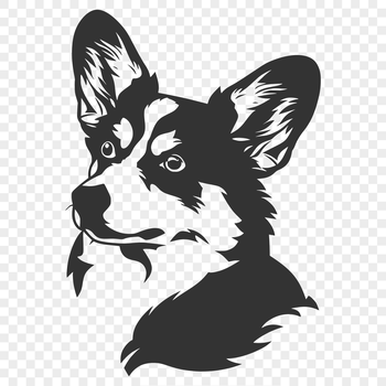 A small breed dog with short legs and a distinctive head shape.