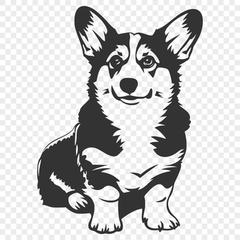 A vector illustration of a Corgi sitting on its hind legs.