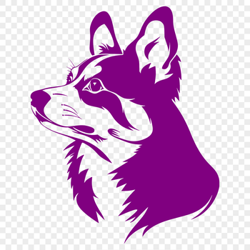 Corgi dog breed illustration in vector format.