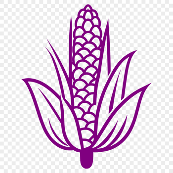 A high-quality graphic representation of an ear of corn, suitable for various digital applications.