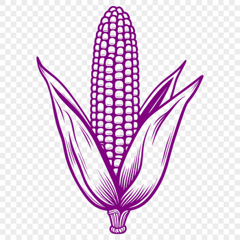 A stylized illustration of a corn on the cob, suitable for various design purposes.