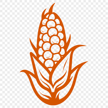 A realistic illustration of a single ear of corn with husk and silk.