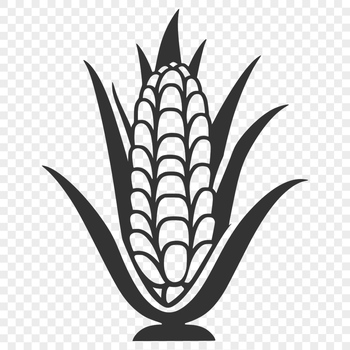 An illustration of a corn on the cob with kernels, suitable for vector graphics and cutting machine designs.
