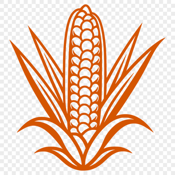 A high-resolution graphic illustration of a single ear of corn with husk and stem.