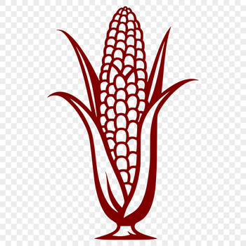 A 2D illustration of a corn kernel in vector format, suitable for graphic design and digital crafting projects.