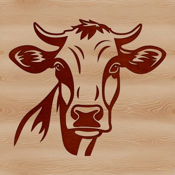 A close-up illustration of a cow's head with simple features and lines.