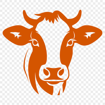A detailed illustration of a cow's head, suitable for use in graphic design projects.