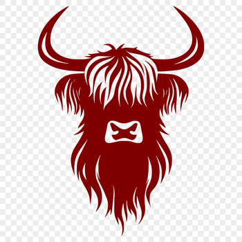 A majestic Scottish farm animal with distinctive horns and shaggy coat.