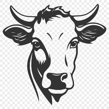 Close-up illustration of a cow's head, suitable for farm-themed designs and vector art projects.