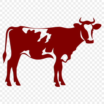 A detailed illustration of a cow's full body from various angles.