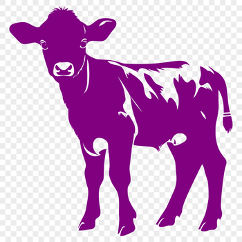 A detailed illustration of a cow's full body, suitable for vector design projects.