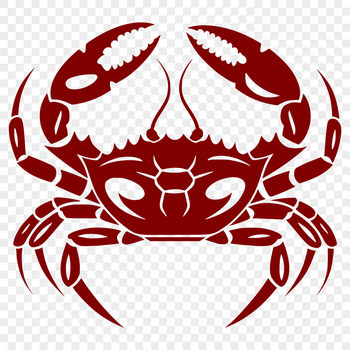 A detailed illustration of a crab's full body from multiple angles, ideal for clip art and vector design projects.