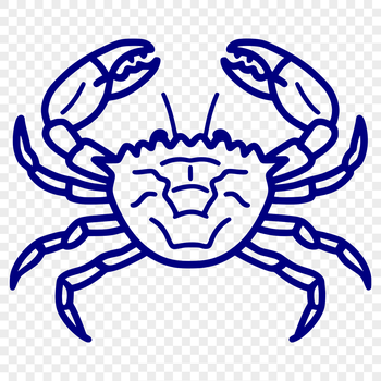 A full body illustration of a crab, suitable for vector graphics applications.