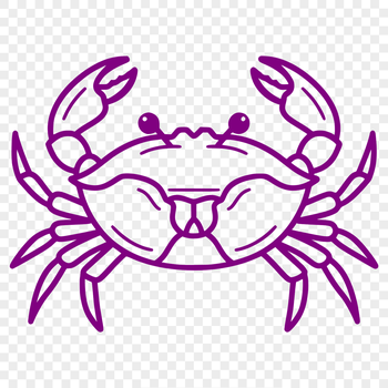 A detailed, high-quality SVG image of a crab's full body from a front-facing perspective.