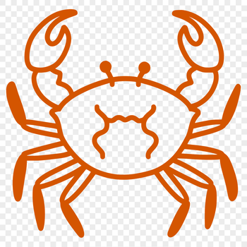 A simple line drawing illustration of a crab from top to bottom.