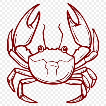 A detailed illustration of a crab's full body, suitable for graphic design and crafting projects.