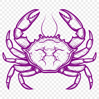 An SVG graphic featuring a realistic depiction of a crab with complete anatomy and design details.