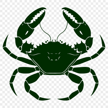 Artistic Crab Clipart