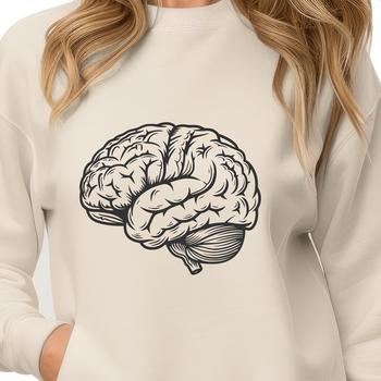 An illustration of a human brain with detailed anatomical features.