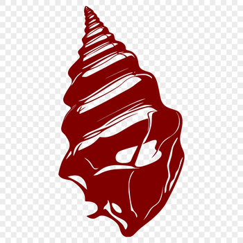 A detailed illustration of a seashell, suitable for vector design and cutting machine use.