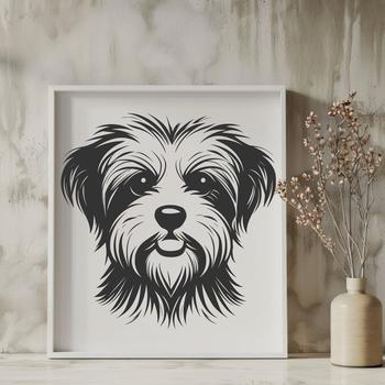 A small dog breed with a fluffy coat, identified as a Morkie.