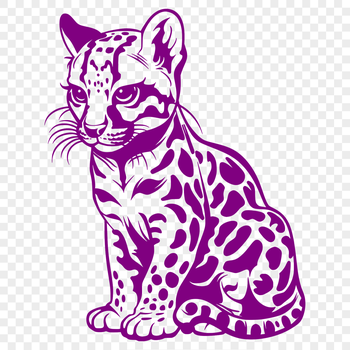 A full-body illustration of an ocelot, a type of big cat, in a sitting position.