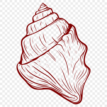 A stylized illustration of a seashell in vector format, suitable for digital and cutting applications.