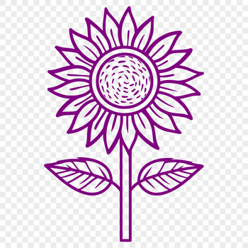 A realistic illustration of a sunflower, suitable for vector design and digital art projects.